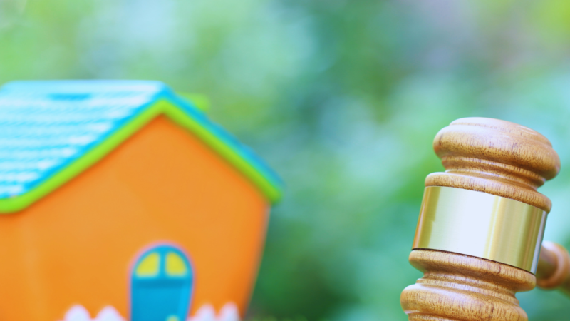 How Environmental Laws Affect Property Rights: Understanding the Legal Implications