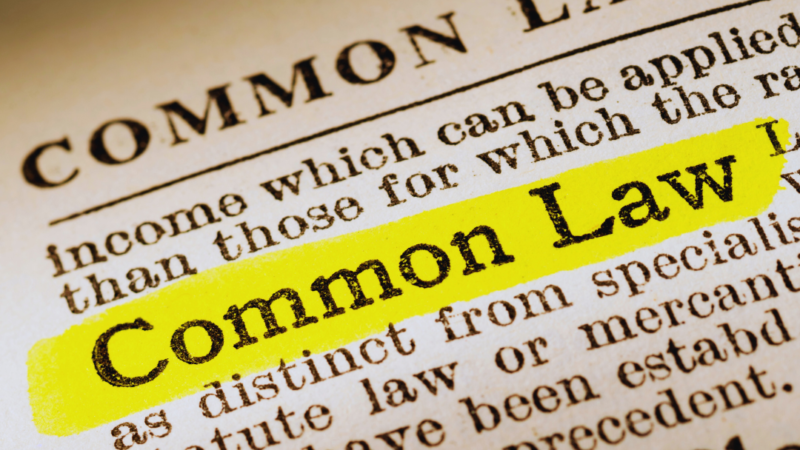 The Future of Common Law: Evolving Principles in a Changing Legal Landscape