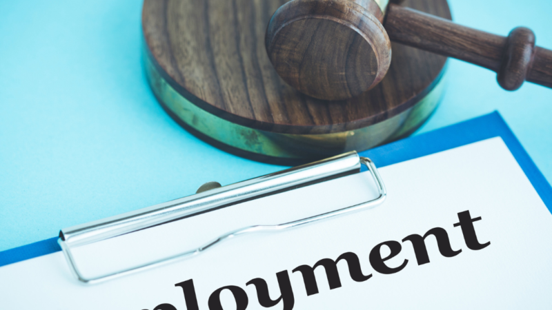 Basics of Employment Law Explained: Key Principles Every Worker Should Know