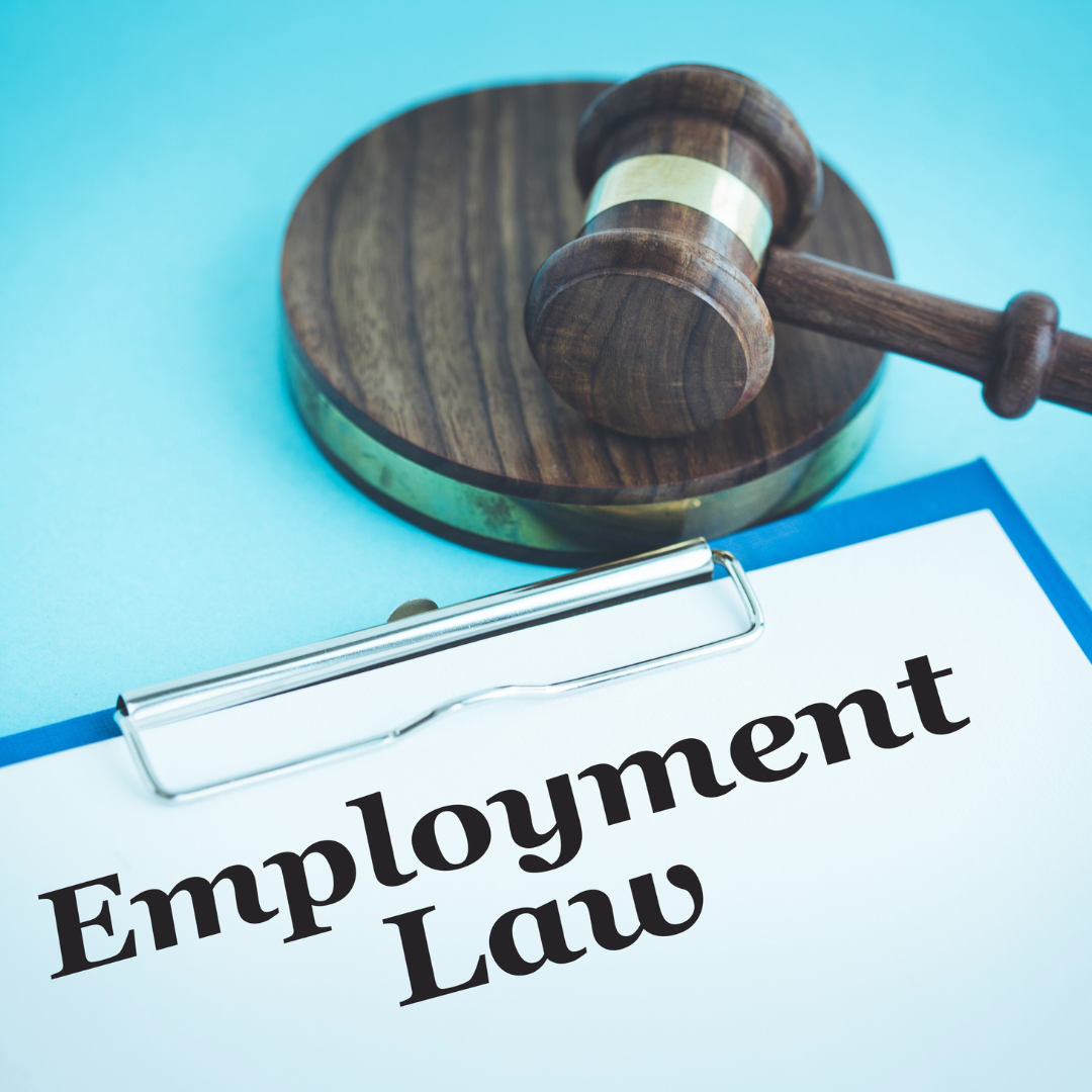 Basics of Employment Law Explained: Key Principles Every Worker Should Know
